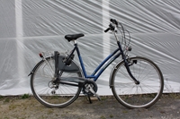 DAMESFIETS
